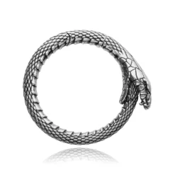 Ciężarek do ucha - wąż - srebrny - PT-165