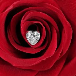 Tytanowa nakrętka serce z białą cyrkonią - srebrna - TNA-123