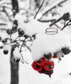 Tytanowe kółko CLICKER z białymi cyrkoniami - srebrny - TK-038