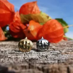 Tytanowy kolczyk labret dynia - srebrny - TGW-157