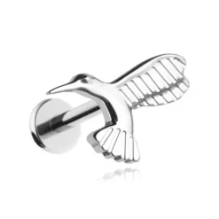 Tytanowy kolczyk labret koliber - srebrny