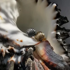 Tytanowy kolczyk labret muszla złoty