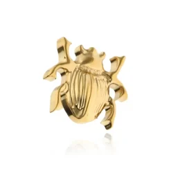 Tytanowy labret żuk - złota